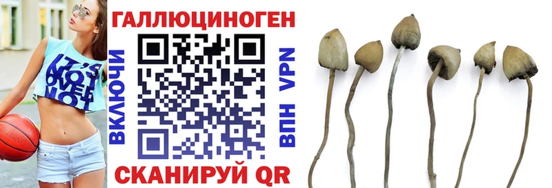 Псилоцибиновые грибы мицелий  купить наркотики сайты  Хилок 